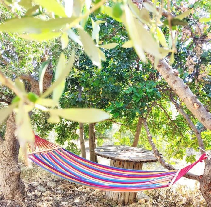 Olive Land - Γη Τησ Ελιασ / Stone Villa. Γούβες Εξωτερικό φωτογραφία